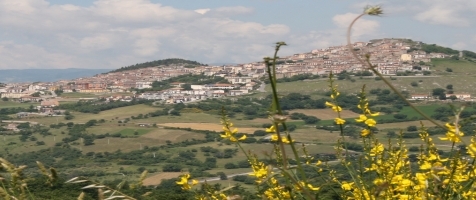 Welcome to Viggiano viggiano