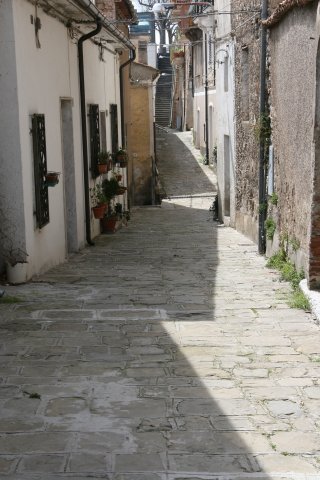 img_9924